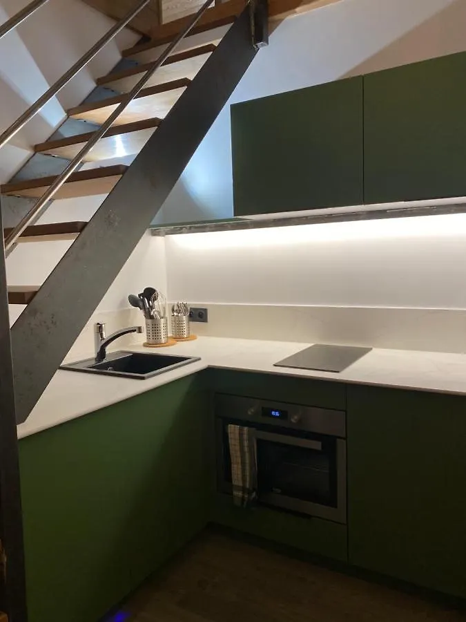 Genepi Loft Duplex 4 Personnes Apartment Araches-la-Frasse
